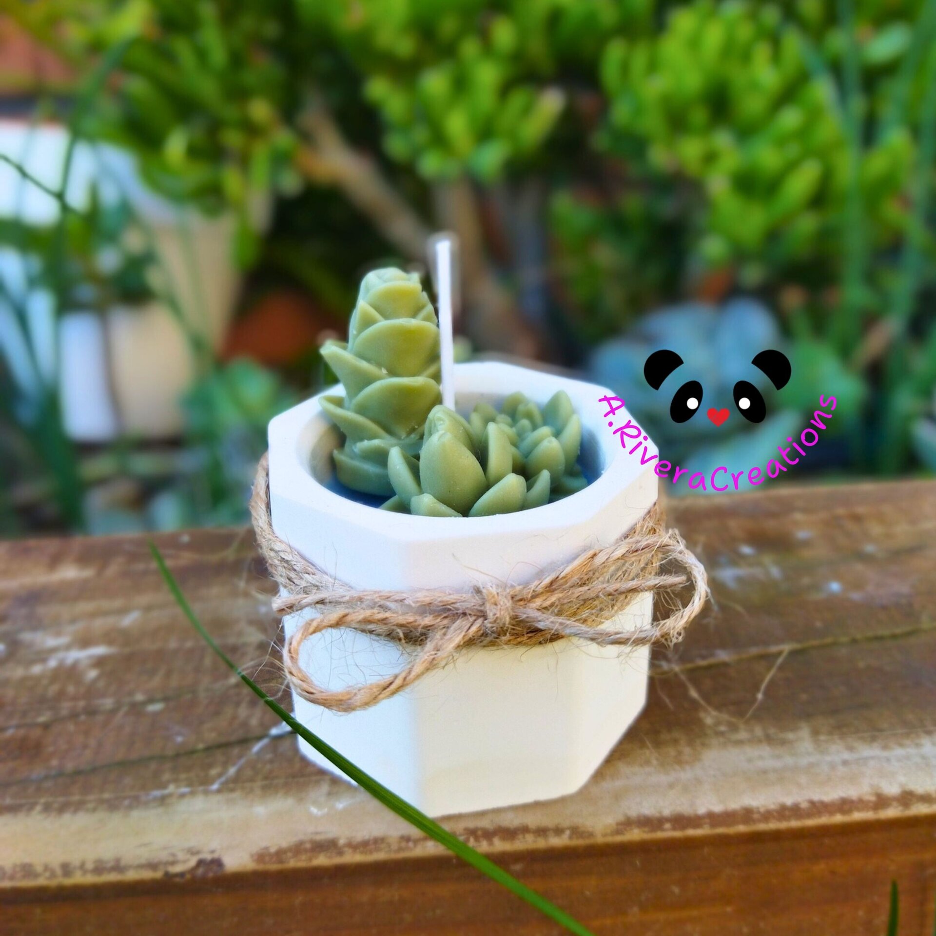 VELA SUCULENTAS PARA BODAS, BAUTIZOS, COMUNIONES, EVENTOS ESPECIALES, RECUERDOS - 11