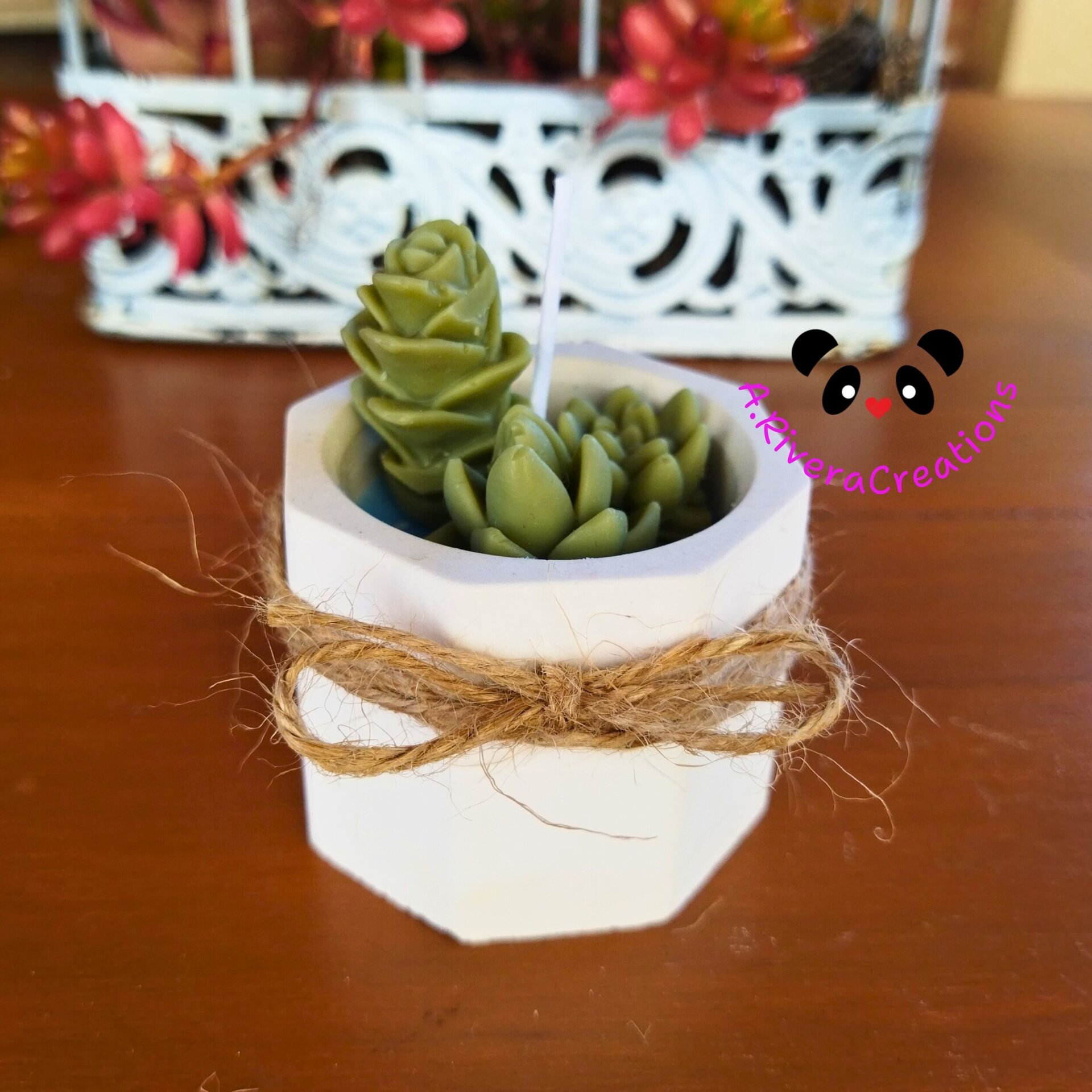 VELA SUCULENTAS PARA BODAS, BAUTIZOS, COMUNIONES, EVENTOS ESPECIALES, RECUERDOS - 6