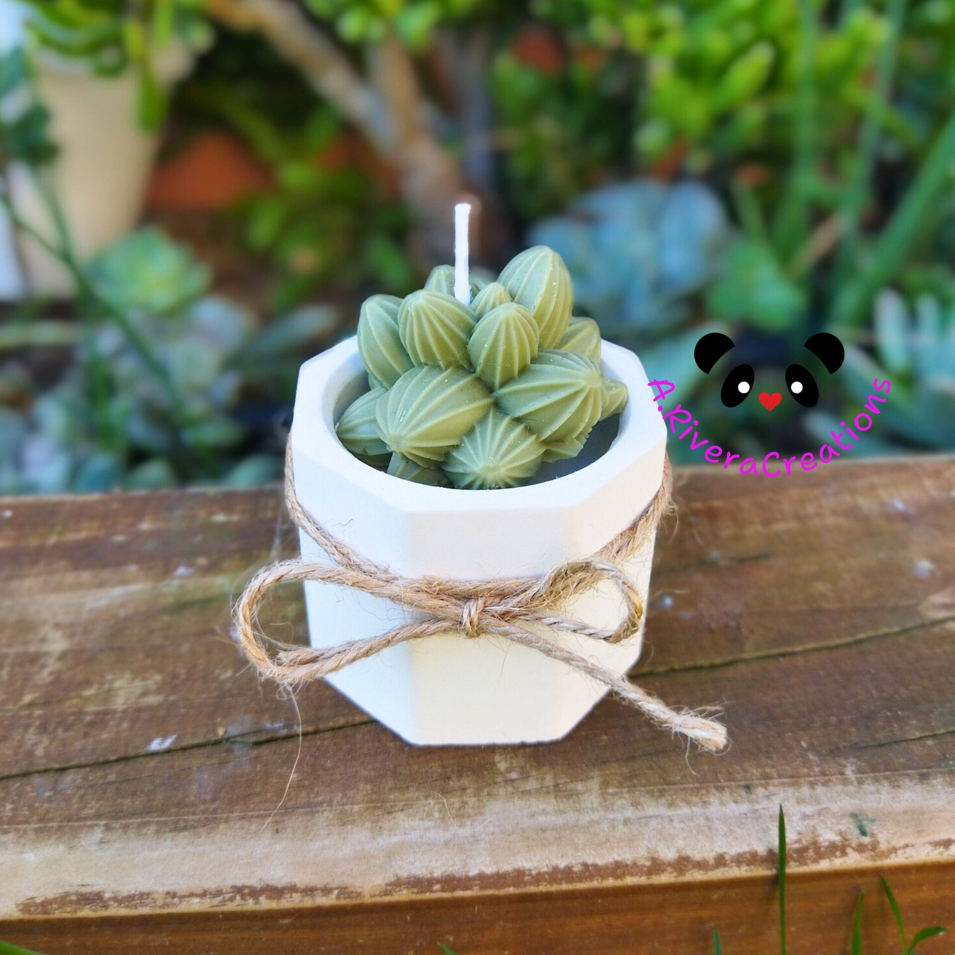 VELA SUCULENTAS PARA BODAS, BAUTIZOS, COMUNIONES, EVENTOS ESPECIALES, RECUERDOS - 10