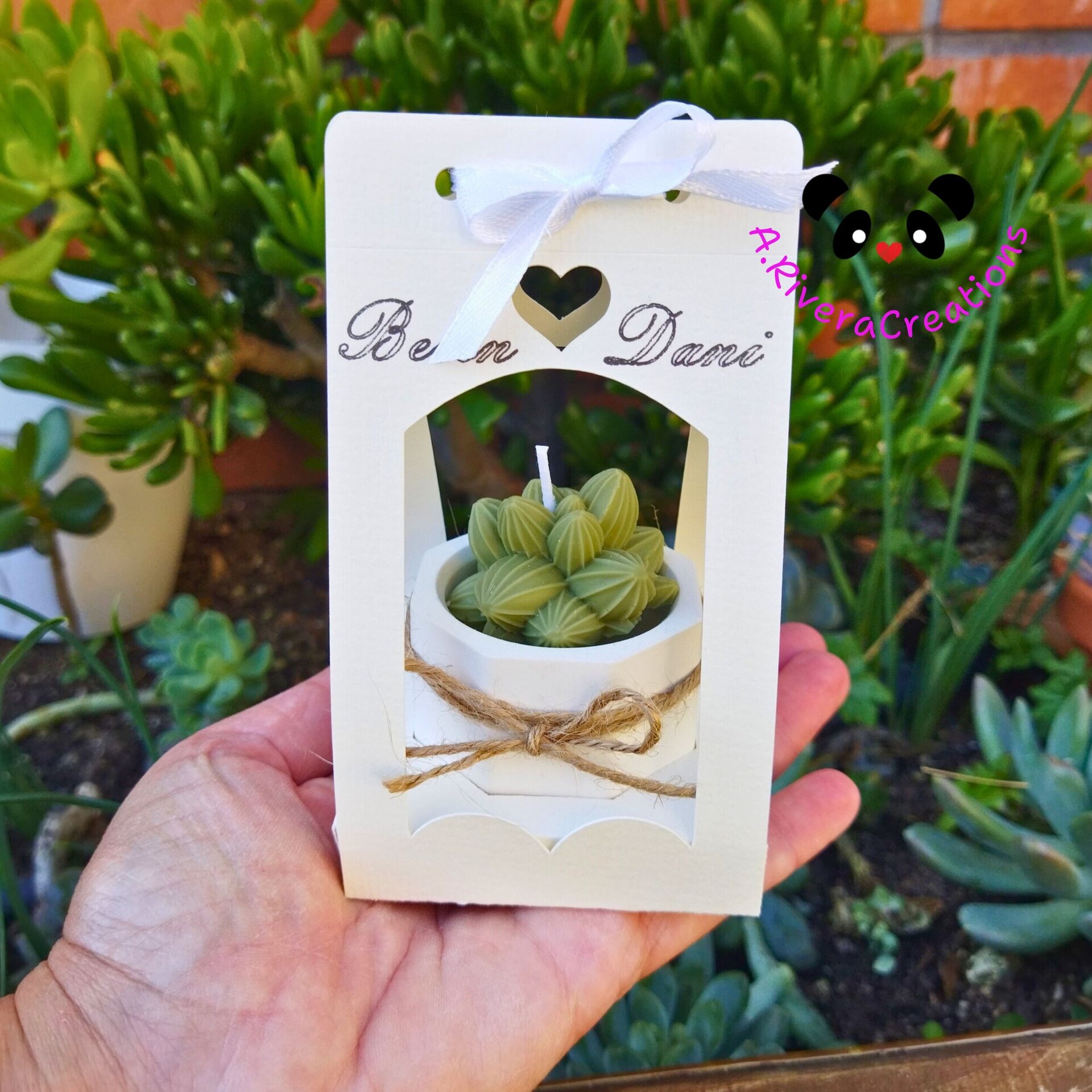 VELA SUCULENTAS PARA BODAS, BAUTIZOS, COMUNIONES, EVENTOS ESPECIALES, RECUERDOS - 7