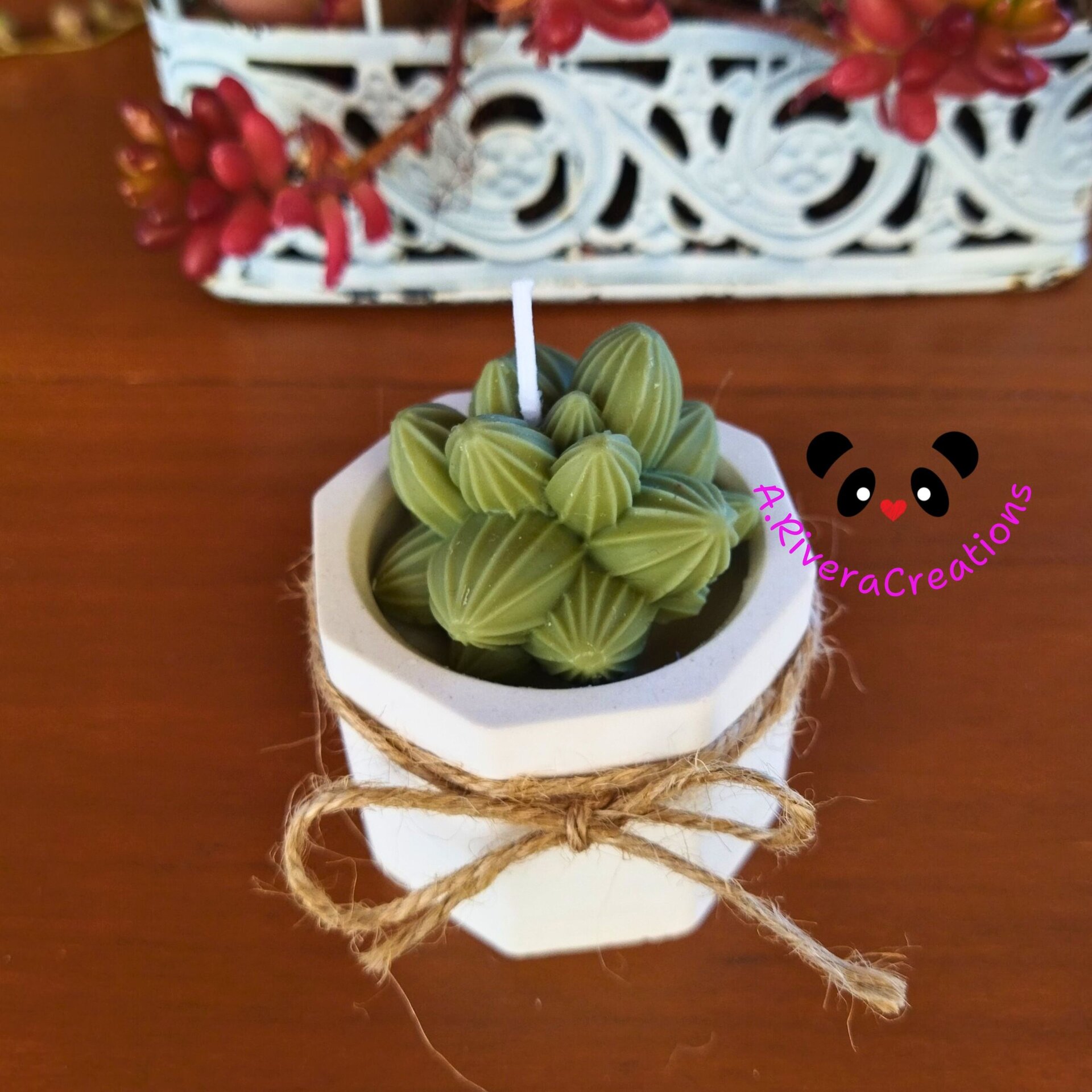 VELA SUCULENTAS PARA BODAS, BAUTIZOS, COMUNIONES, EVENTOS ESPECIALES, RECUERDOS - 8